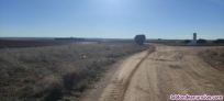 Fotos del anuncio: Se vende finca con viedos y bodega con muy buenos vinos