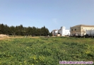 Fotos del anuncio: Chalet en Venta en Villanueva del Ariscal. Sevilla