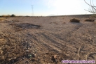 Ref: 1143. Finca Rústica en venta en Crevillente (Alicante)
