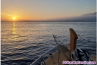 Fotos del anuncio: Rene tus amigos para un paseo en barco costa del sol