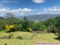 Fotos del anuncio: Se vende finca