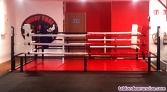 Fotos del anuncio: Ring boxeo entrenamiento
