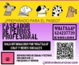 Fotos del anuncio: Paseador de perros barcelona eixample