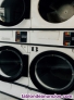 Fotos del anuncio: Se traspasa lavanderia tintoreria