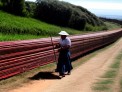 CARNICERO PARA CONIL y ARCOS DE LA FRONTERA