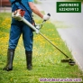 Fotos del anuncio: Profesionales de pulgar verde