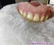 Prtesico dental 
