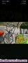Fotos del anuncio: Se venden bicicletas viejas 