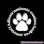 Adiestramiento y educacin canina