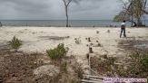 Fotos del anuncio: Se venden 17 hectreas en Isla de Bar (Cartagena-Colombia) 