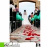Wedding planner / coordinadora de eventos bodas
