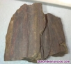 Xilopalo, madera fosil ,peso 272,6 gramos