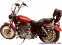 Harley Sporster 1200 XL Low