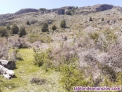 Fotos del anuncio: Terreno de 12 ha en patagonia chile
