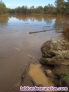 Fotos del anuncio: 1700Hect en Huelva con 3 Pantanos agua propia.
