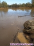 Fotos del anuncio: 1700Hect en Huelva con 3 Pantanos agua propia.