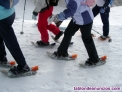 Fotos del anuncio: Rutas con raquetas de nieve y al quiler de raquetas de nieve