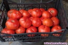 Fotos del anuncio: Semillas de tomates especiales