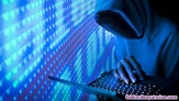 Hacker informático profesional
