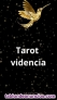 Videncia y tarot real y fiable