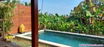 Fotos del anuncio: Inversiones en villas y resort en la isla de Bali. 