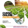 Fotos del anuncio: Curso Completo de Hidropona