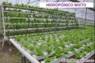Fotos del anuncio: Venta de sistemas de cultivo hidropnico / sin tierra.