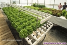 Fotos del anuncio: Venta de sistemas de cultivo hidropnico / sin tierra.