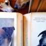 Libro de razas de perros