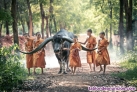 Fotos del anuncio: Organizo viaje en grupo a Camboya en agosto