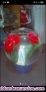Fotos del anuncio: Bola de cristal llena de agua de la virgen de lurdes