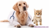 Fotos del anuncio: Venta clinica veterinaria en barcelona