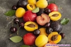 Fotos del anuncio: Personal para almacn de fruta con hueso