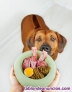 Fotos del anuncio: 115 Recetas Caninas