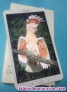 Fotos del anuncio: Tablet Samsung 10.1", 32 GB, Blanca