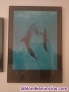 Fotos del anuncio: Cuadros de Delfines lote de 3 nuevos OFERTON!!!!!!