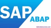 Fotos del anuncio: Programador ABAP