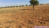 Fotos del anuncio: Vendo terreno buen sitio 