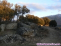 Fotos del anuncio: Se vende finca rustica en Burgohondo (Avila)