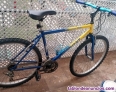 Bicicleta de montaa 