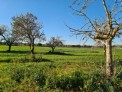 Fotos del anuncio: Terreno, Finca Rustica, 31504 m2, Urbanizable, pla