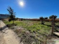 Fotos del anuncio: Terreno, Finca Rustica, 730 m2, 730 Metros de parc