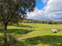 Fotos del anuncio: Terreno, Finca Rustica, 60600 m2, 1 dormitorios, B