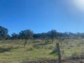 Fotos del anuncio: Venta Parcelas en plena naturaleza en Santa Amalia