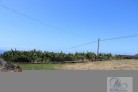 Finca rstica a la venta en Tenerife en la Orotava