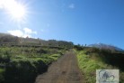 Fotos del anuncio: Finca rstica a la venta en Los Realejos en la zon