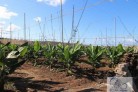 Finca rstica en venta ubicada en el municipio de 