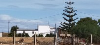 Finca de 8760 m2 con caseta 50 m2 con comedor coci