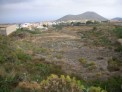 Fotos del anuncio: Terreno, Finca Rustica, 21000 m2, Consultar, plant