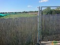 Terreno, Regadio, 5005 m2, 5005 Metros de parcela,